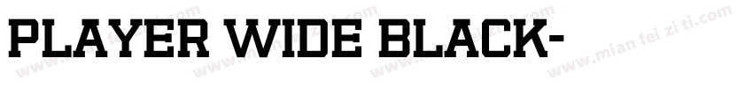 Player Wide Black字体转换